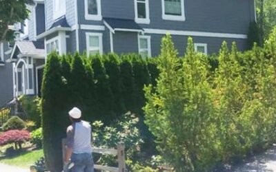 La Conner Multi-Family Roof Replacement