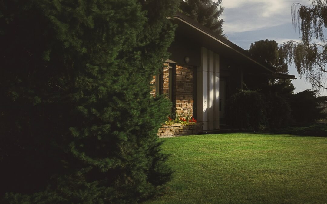 Memorial Day Roof Check: Get Your North Bend Home Ready for Summer