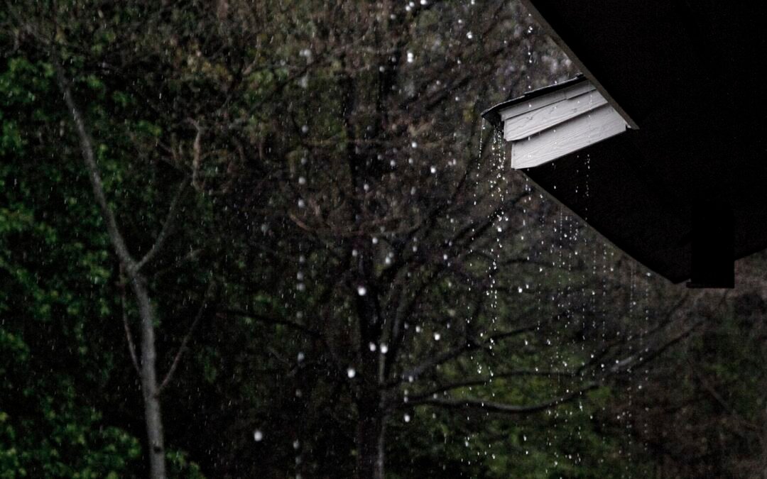 Hidden Storm Damage from a Wet PNW Spring — What to Look For Now