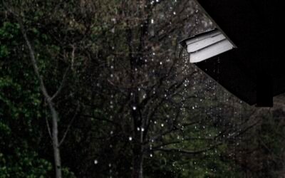 Hidden Storm Damage from a Wet PNW Spring — What to Look For Now