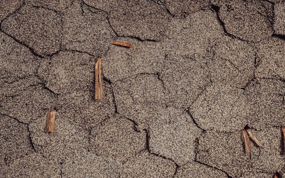 Asphalt Shingle Lifespan in the Pacific Northwest Climate
