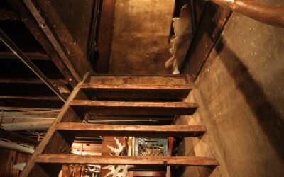 Attic Ventilation in Mill Creek: Why Summer Heat Makes It Matter