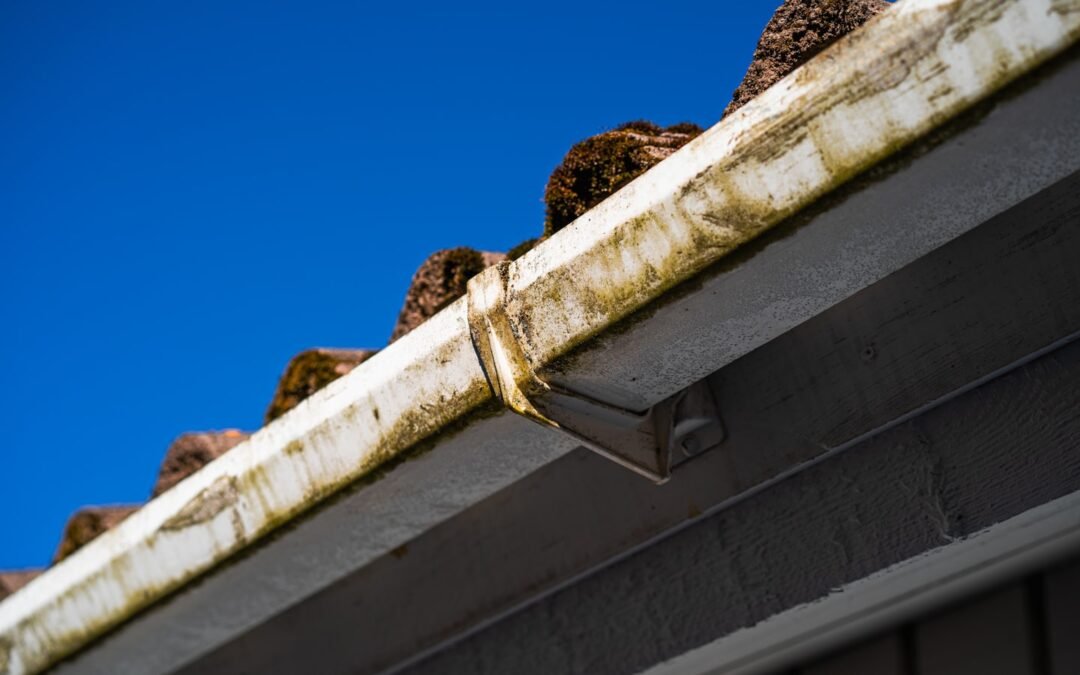 Gutter Guards 101: Are They Worth Installing on Stanwood Homes?