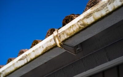 Gutter Guards 101: Are They Worth Installing on Stanwood Homes?