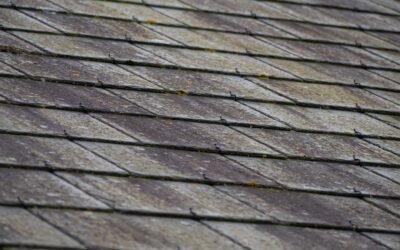 Cedar Roofs and Fireworks: Independence Day Risks PNW Owners Should Know