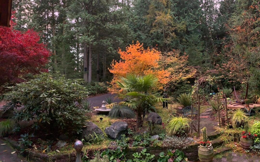 How Snohomish County Microclimates Shape Your Roof's Lifespan
