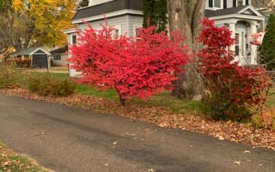 Your Fall Roof Checklist: 7 Things Puget Sound Homeowners Should Inspect Before October