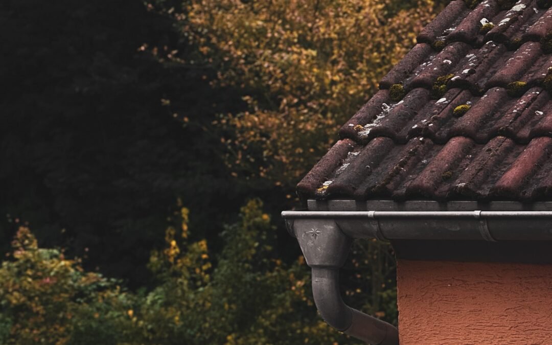 Are Gutter Guards Worth It? What to Know Before Fir Needles and Leaves Start Falling