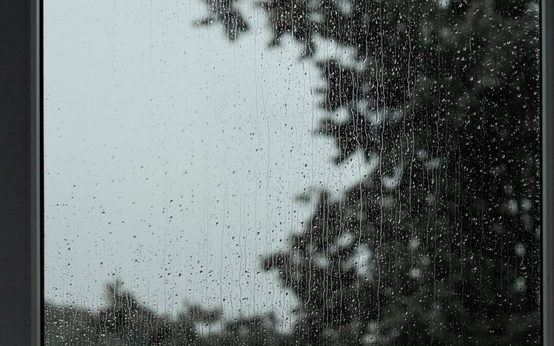 Condensation vs. Roof Leak: Why Your Ceiling Stains Might Not Be What You Think
