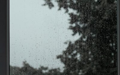 Condensation vs. Roof Leak: Why Your Ceiling Stains Might Not Be What You Think