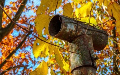 Fir Needles, Maple Leaves, and Your Gutters: A Fall Cleaning Schedule for Western Washington Homes