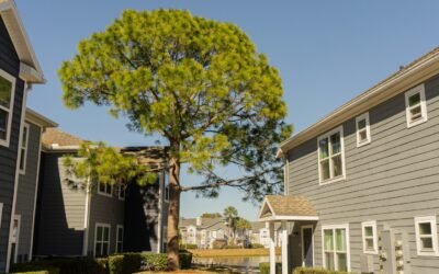 HOA and Multi-Family Roof Planning: How to Run a Fall Roof Assessment Across Your Community