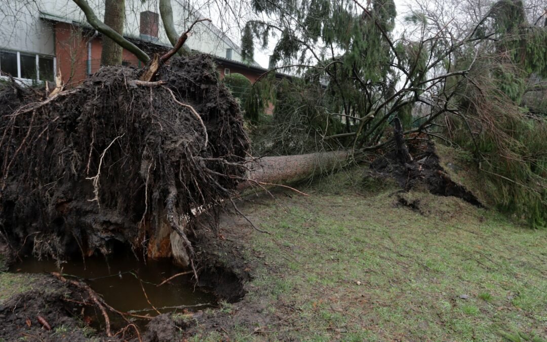 From the Columbus Day Storm to the 2024 Bomb Cyclone: What Puget Sound Windstorm History Teaches Us About Roofs