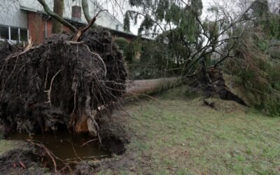 From the Columbus Day Storm to the 2024 Bomb Cyclone: What Puget Sound Windstorm History Teaches Us About Roofs