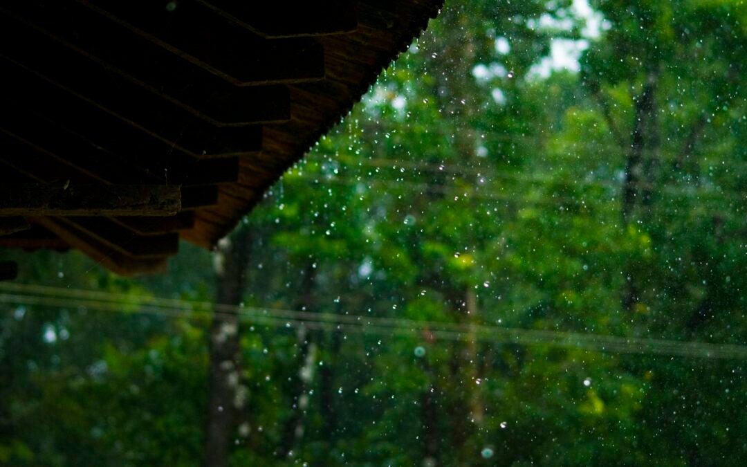 The First Real Rain After a Dry Summer: Why September Storms Expose Leaks Your Roof Was Hiding