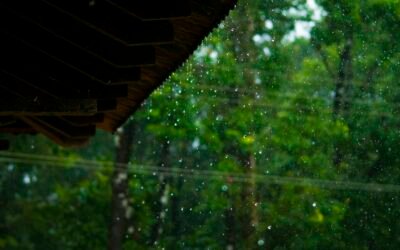The First Real Rain After a Dry Summer: Why September Storms Expose Leaks Your Roof Was Hiding